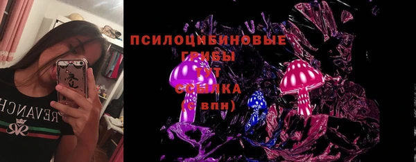 прущий лед Михайлов