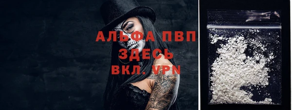 прущий лед Михайлов