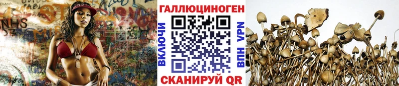 Псилоцибиновые грибы Cubensis  Челябинск 